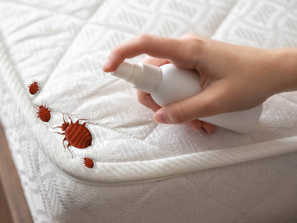 Best Pest Prevention Services  in Mariemont, OH